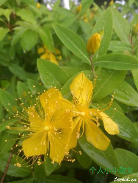 雨中的早晨