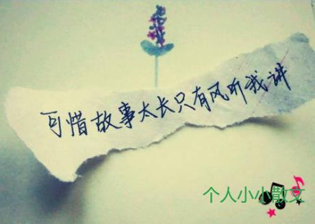 感慨爱情的句子