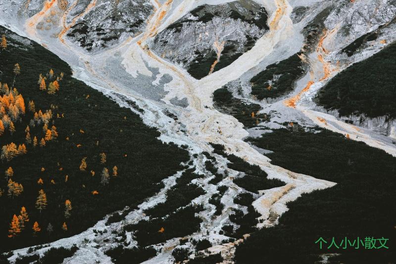 野鸡