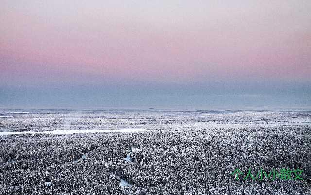 蘑菇在雨后林间突然的涌现