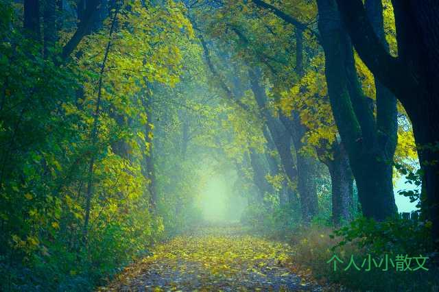 陶轮上泥土被塑形的旋转